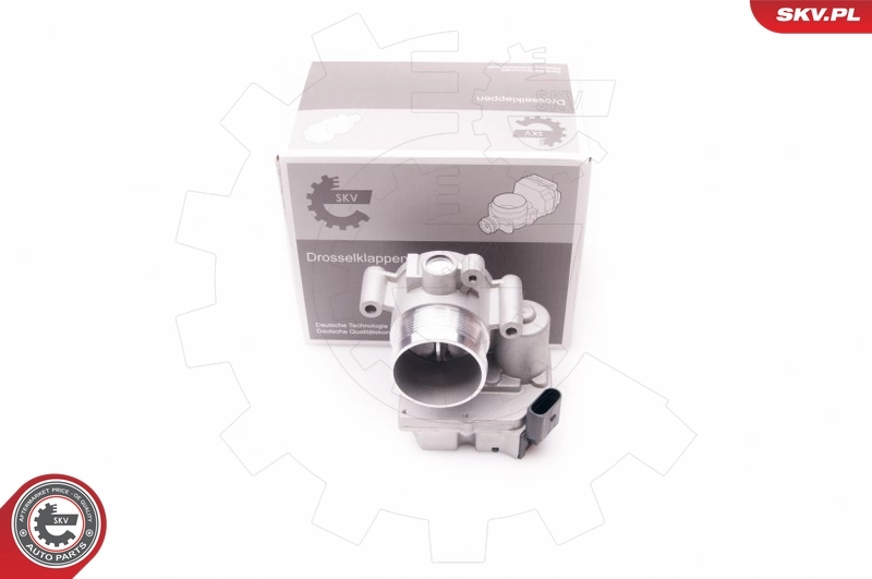 Throttle Body